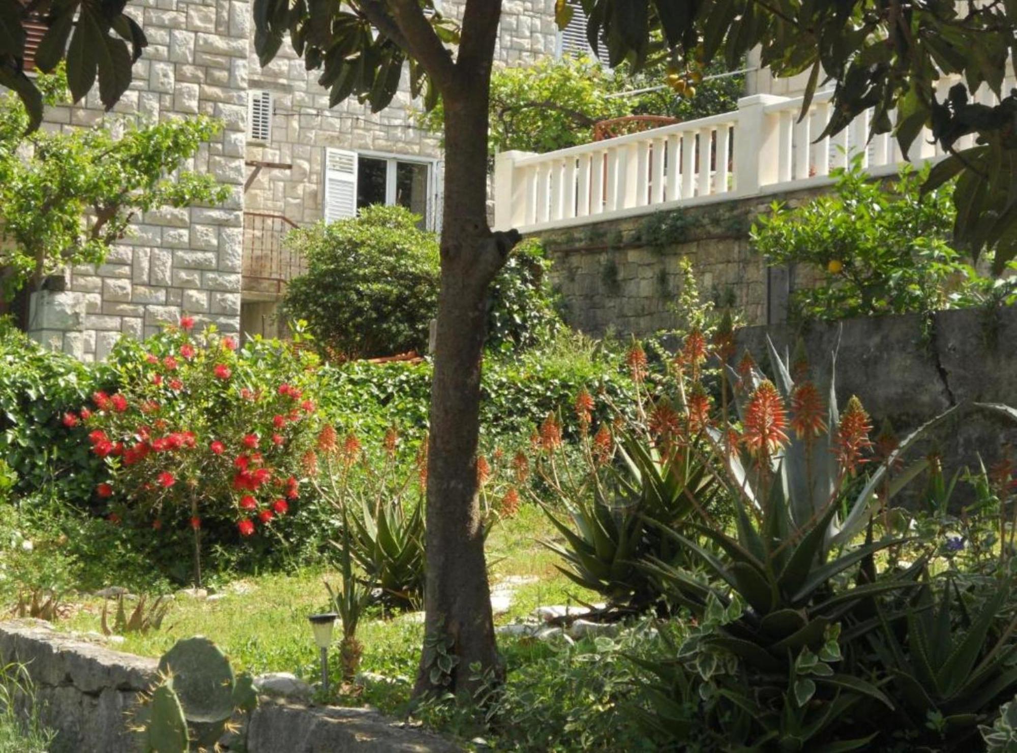 Apartment Plaza Korčula Eksteriør billede